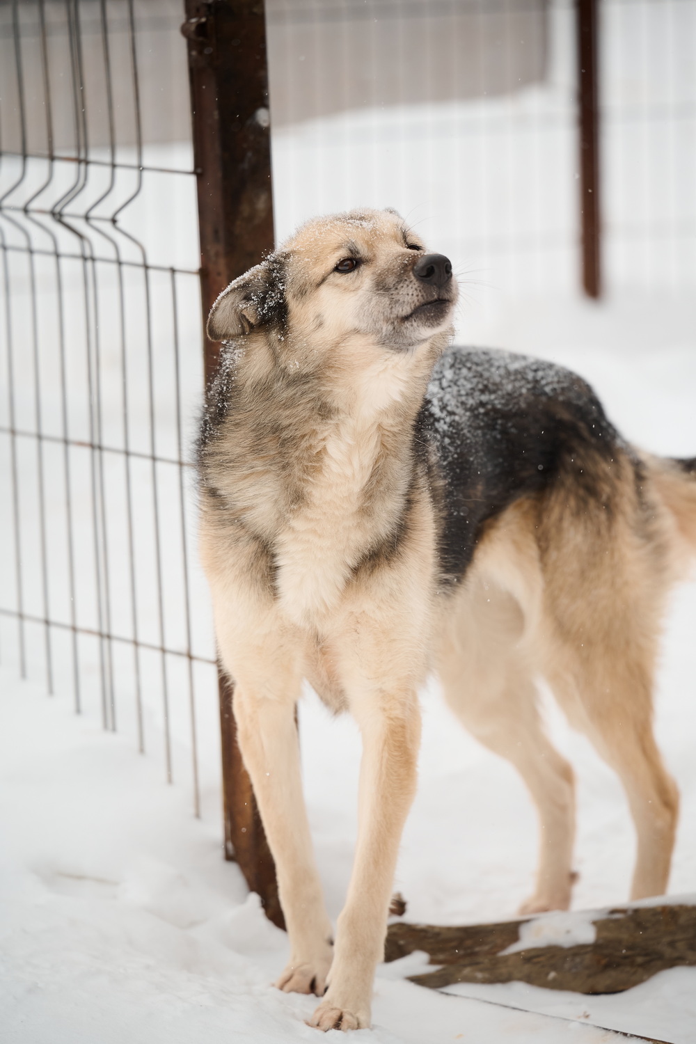 ph: Анна Молодожён