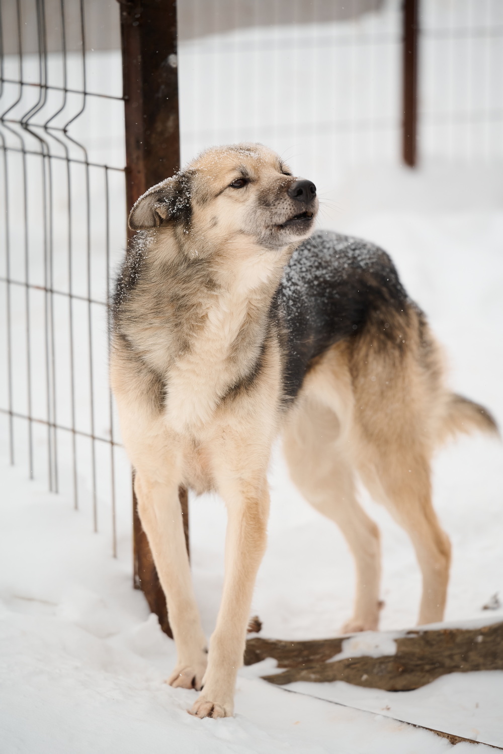 ph: Анна Молодожён