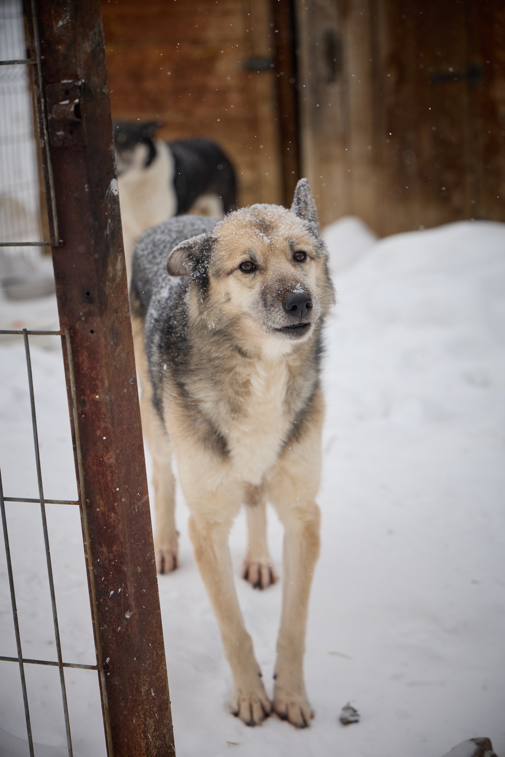 ph: Николай Коба