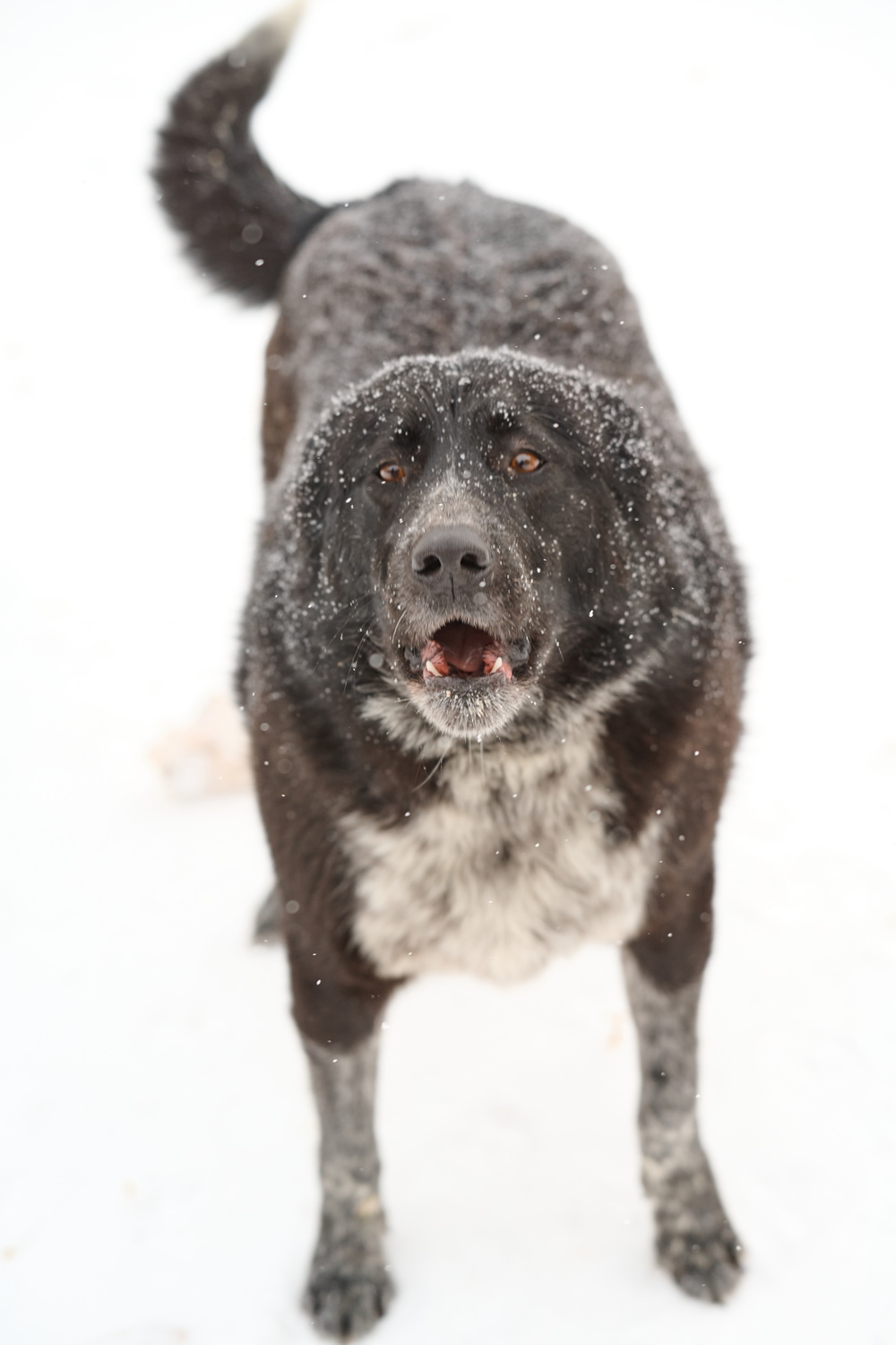 ph: Анна Молодожён