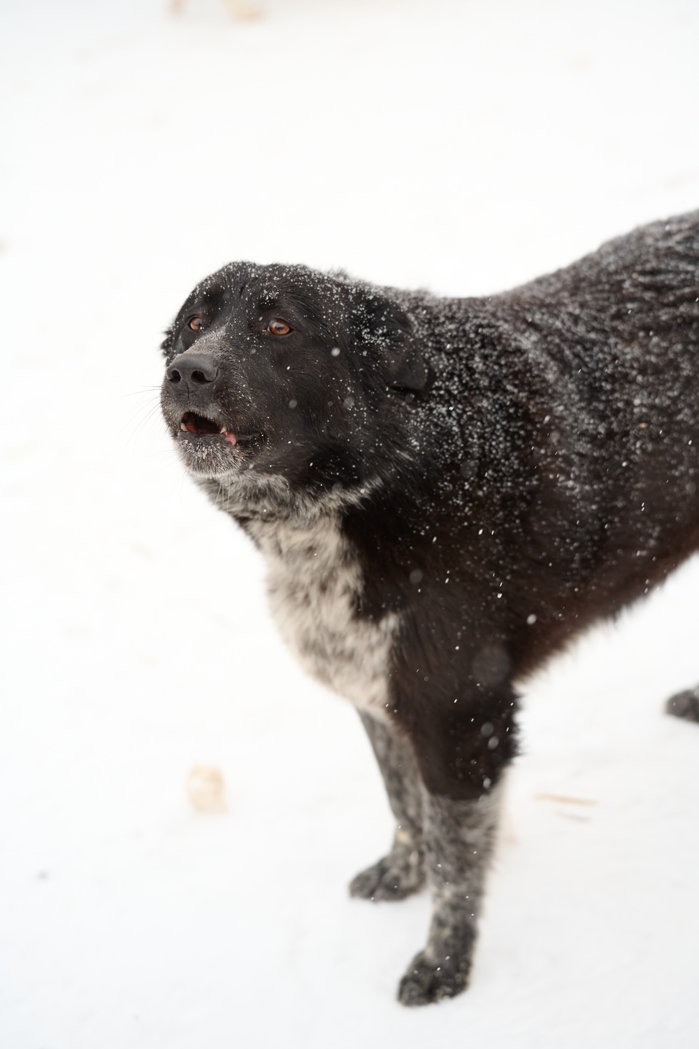 ph: Анна Молодожён