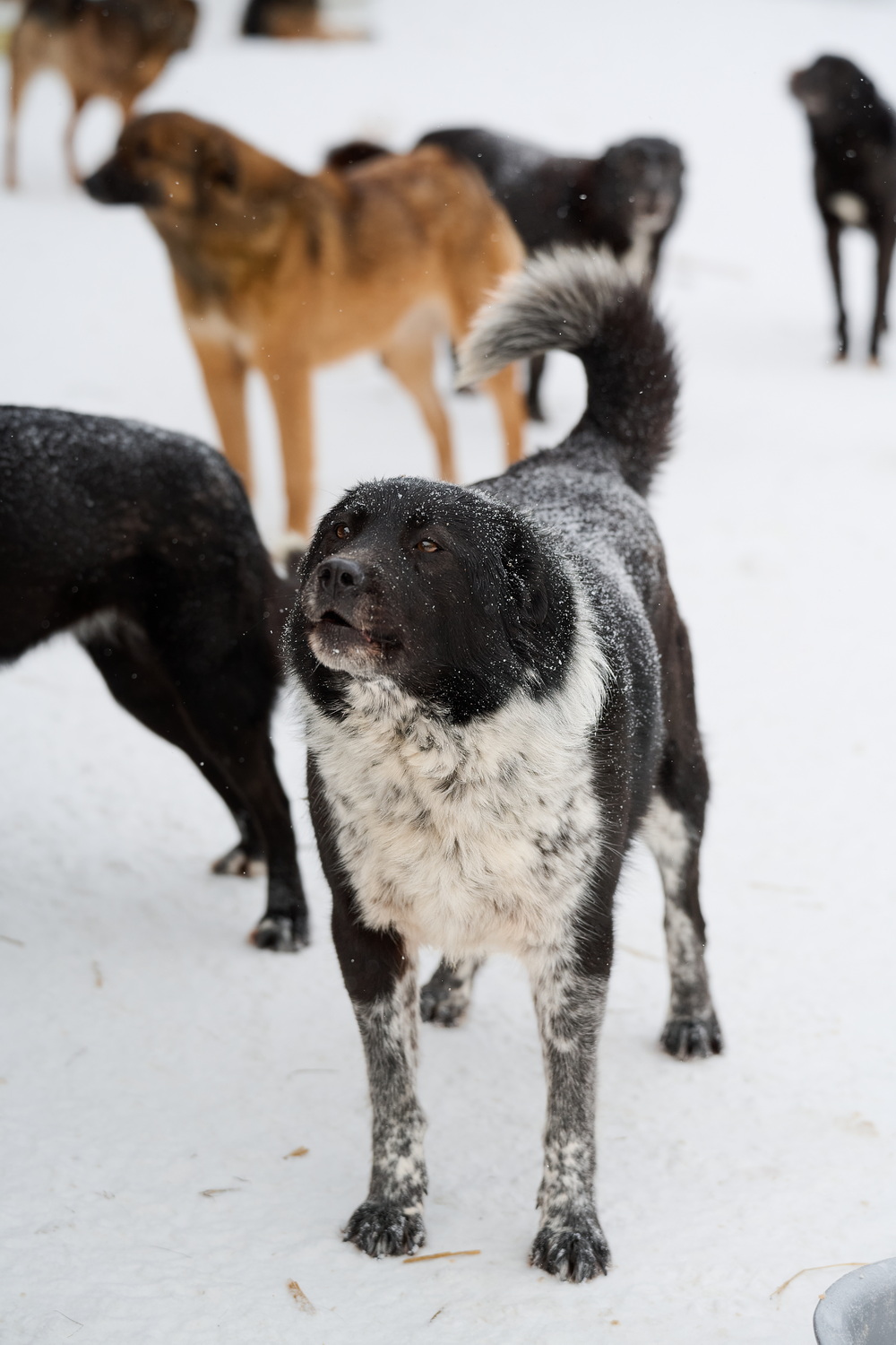 ph: Анна Молодожён