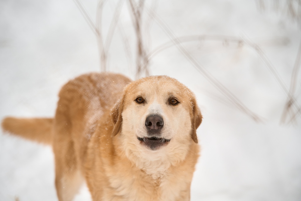ph: Анна Молодожён