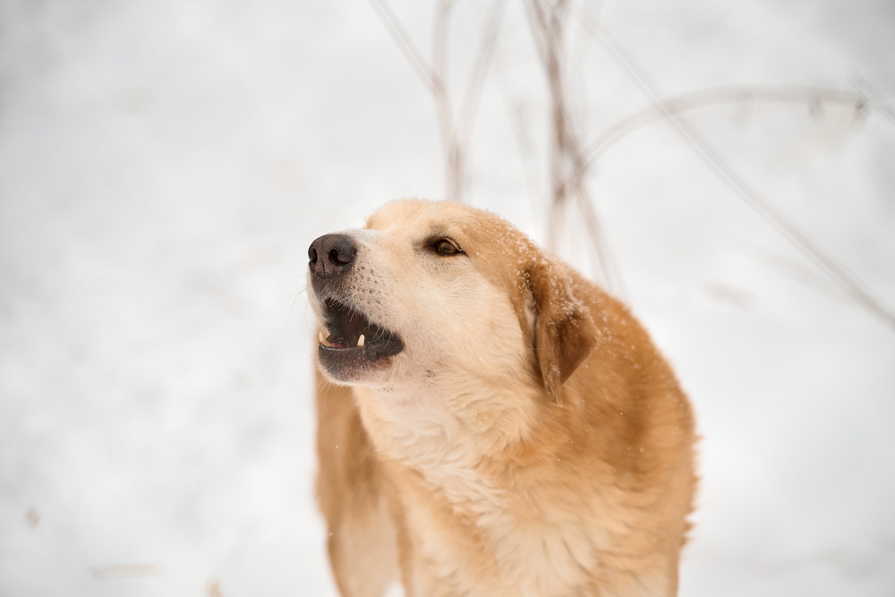 ph: Анна Молодожён