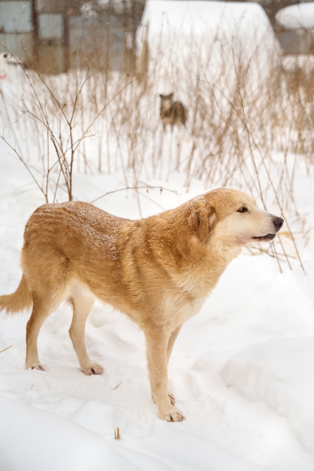 ph: Анна Молодожён