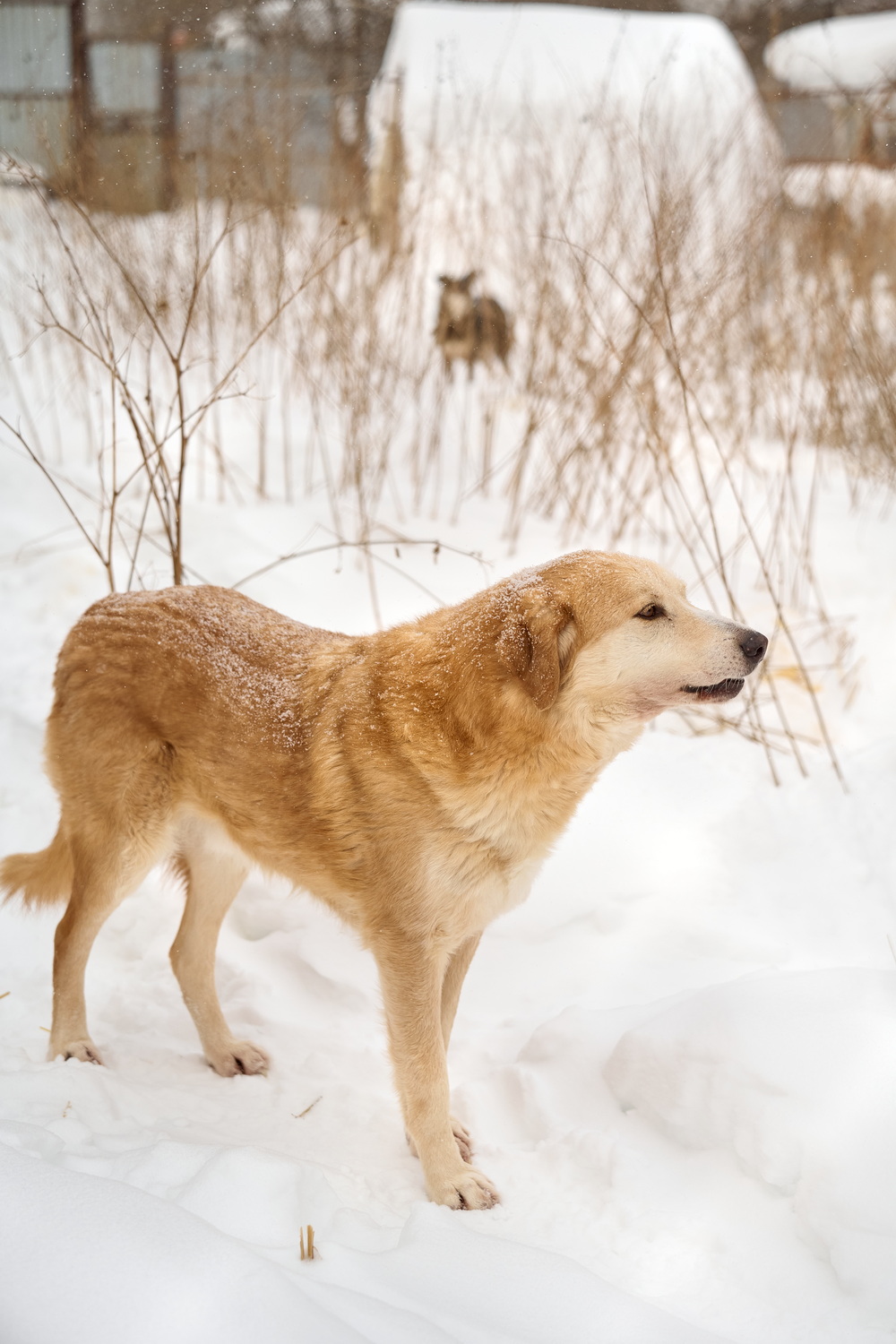 ph: Анна Молодожён