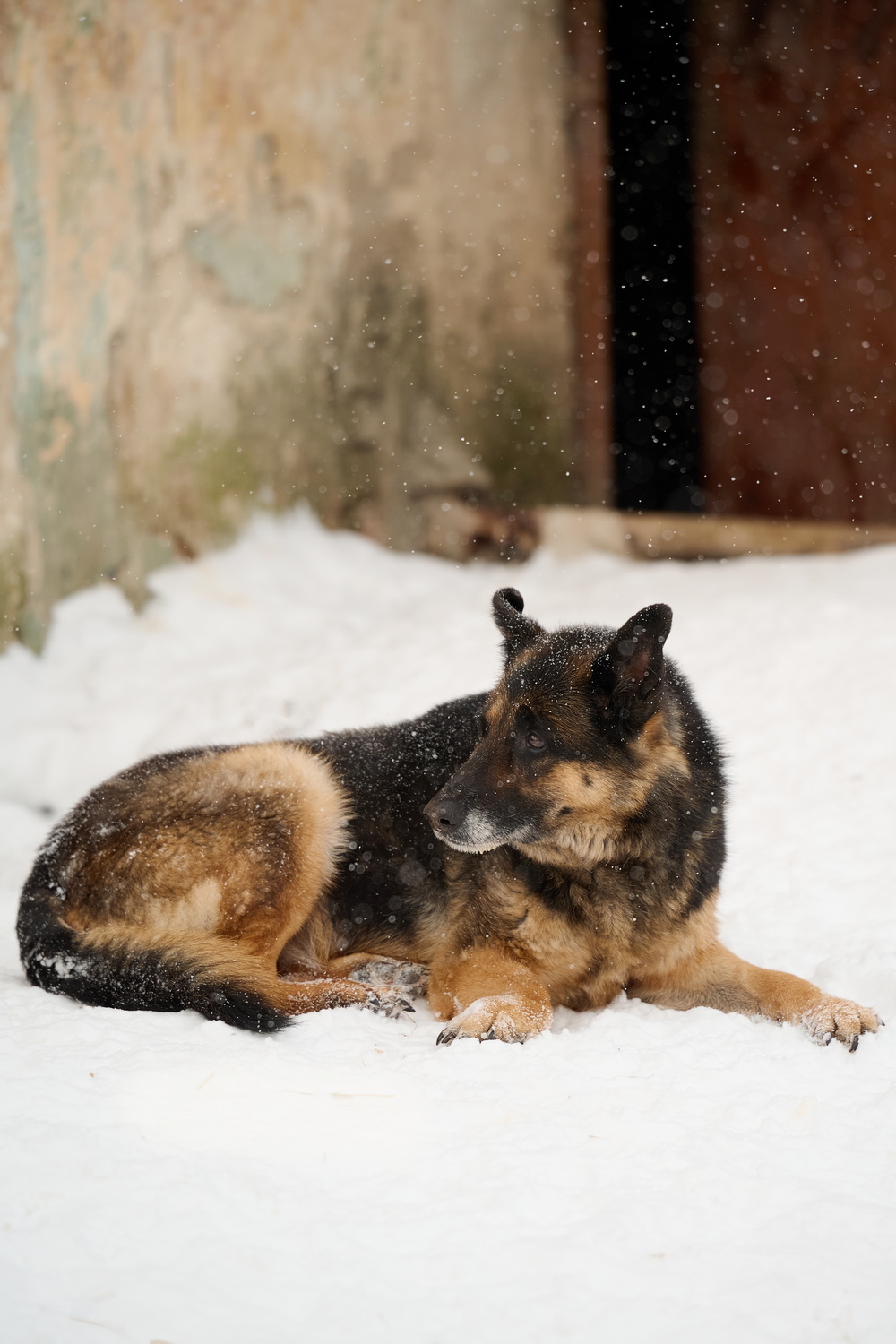 ph: Анна Молодожён