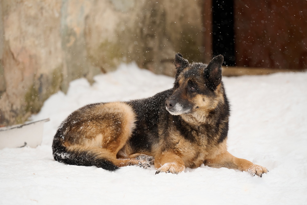 ph: Анна Молодожён