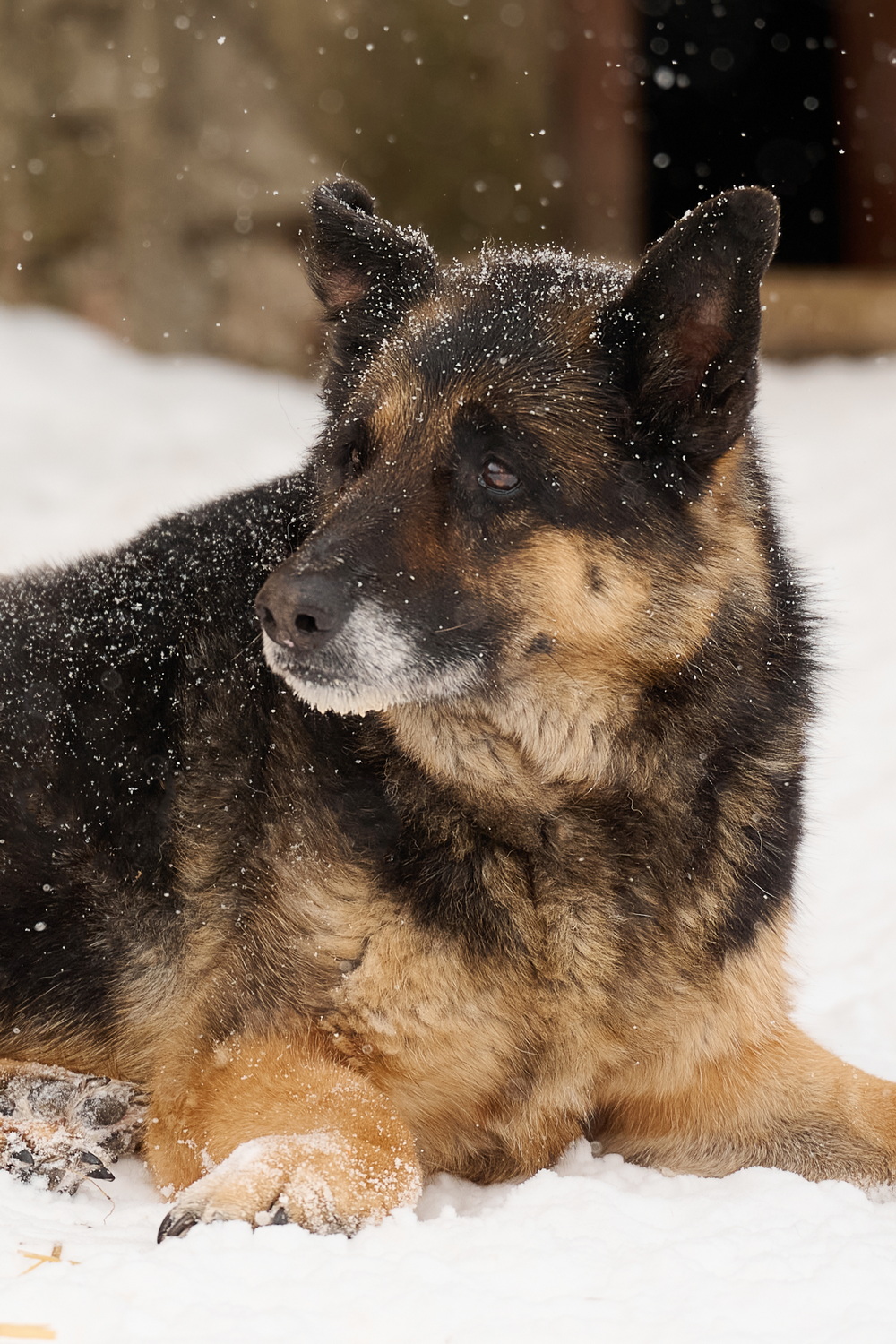 ph: Анна Молодожён
