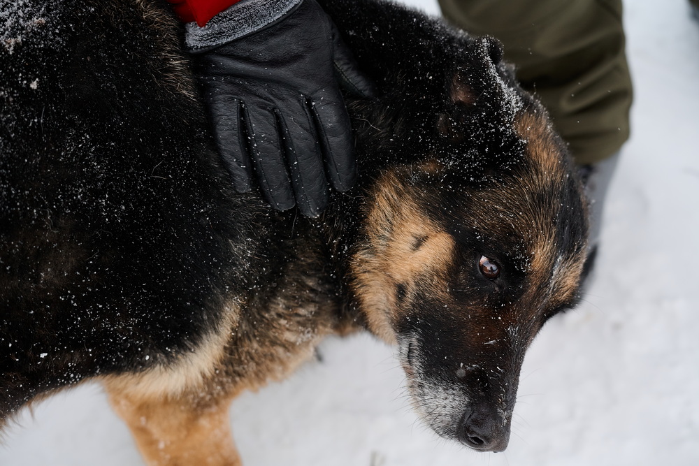 ph: Анна Молодожён