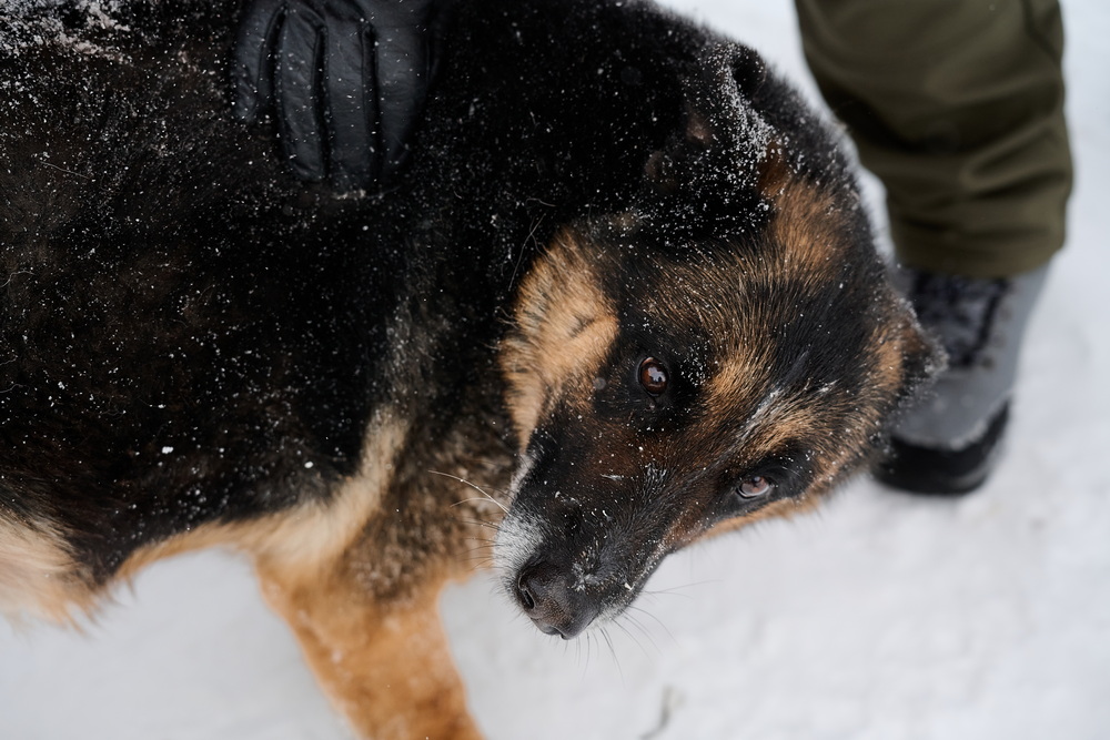 ph: Анна Молодожён