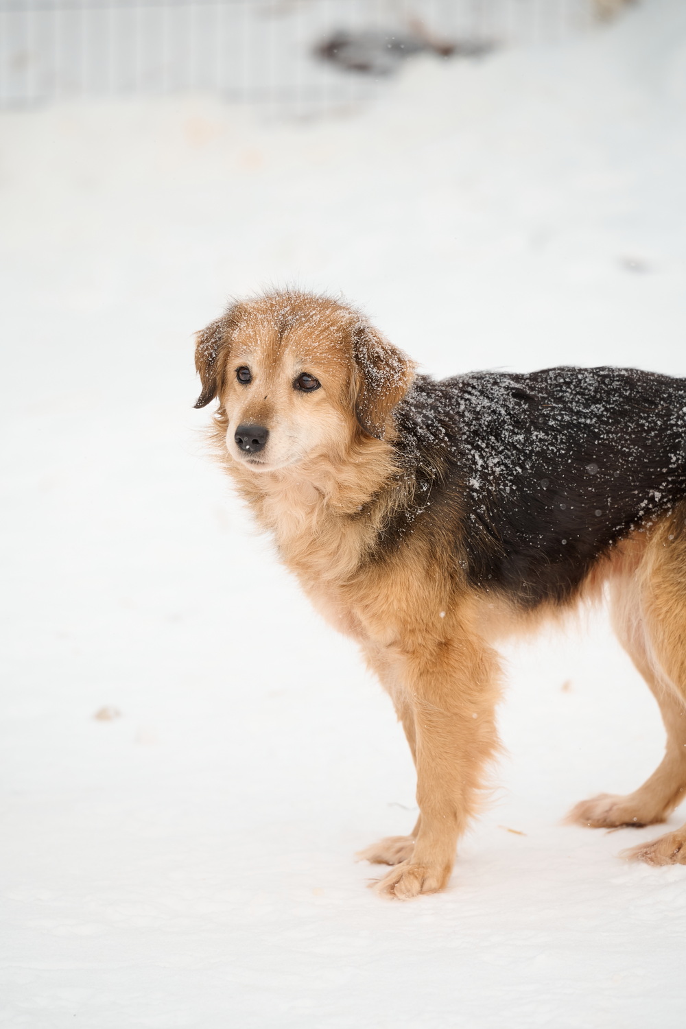ph: Анна Молодожён