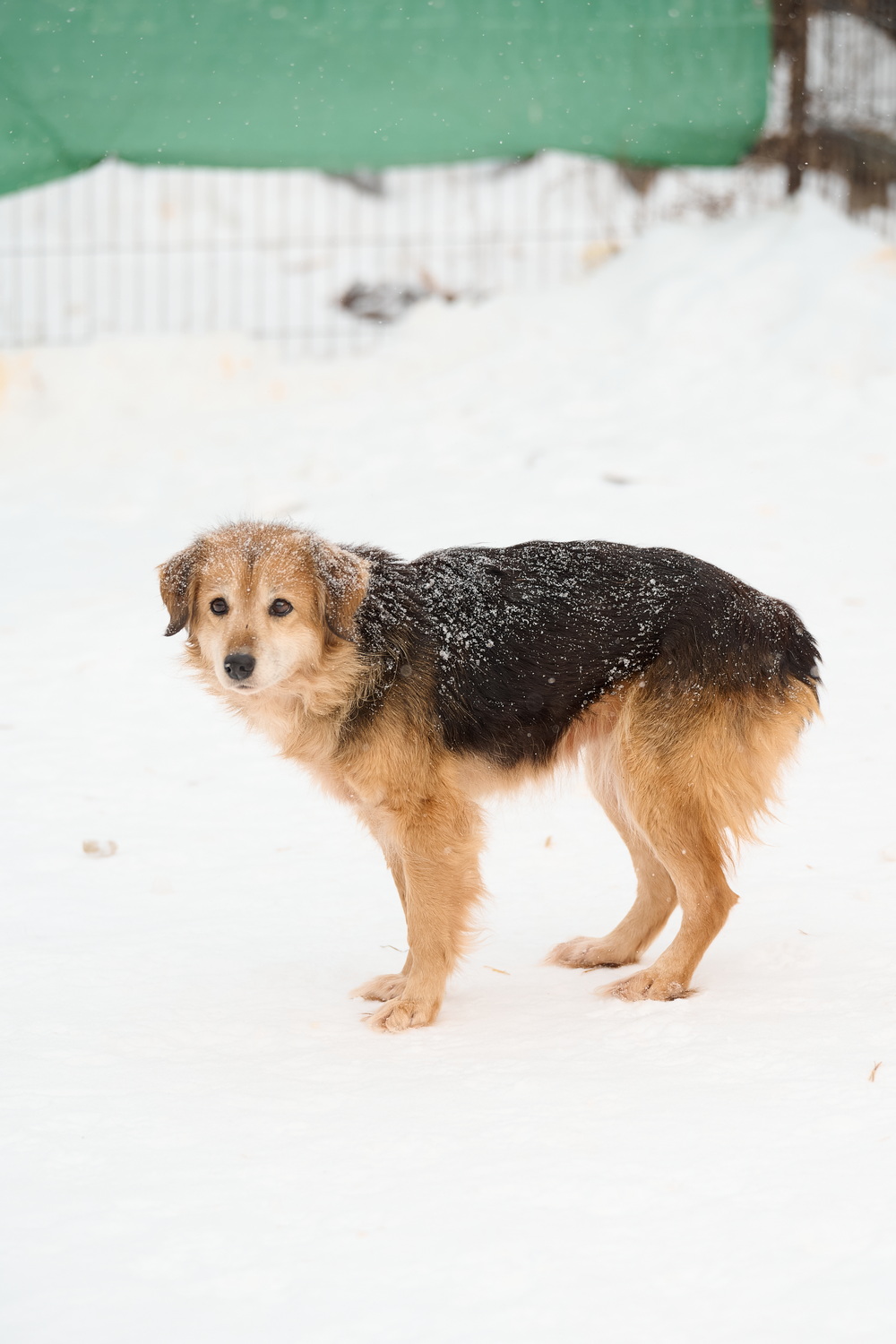ph: Анна Молодожён