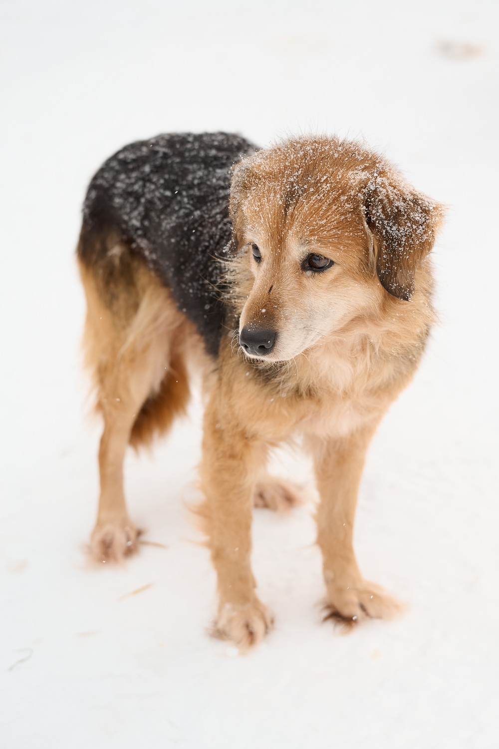 ph: Анна Молодожён