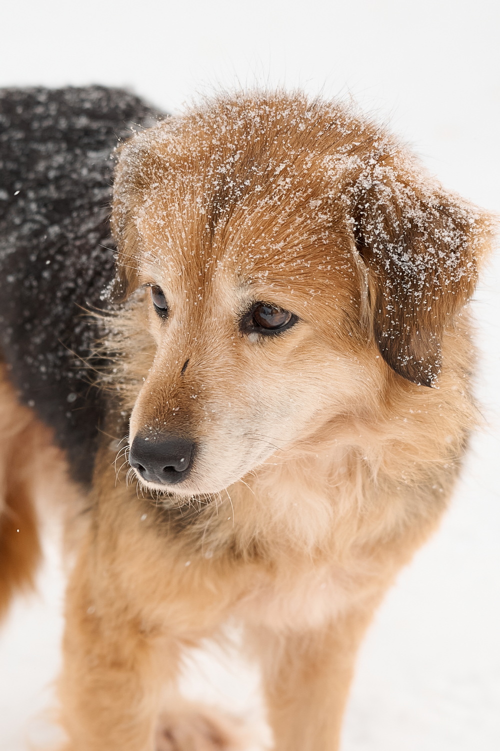 ph: Анна Молодожён