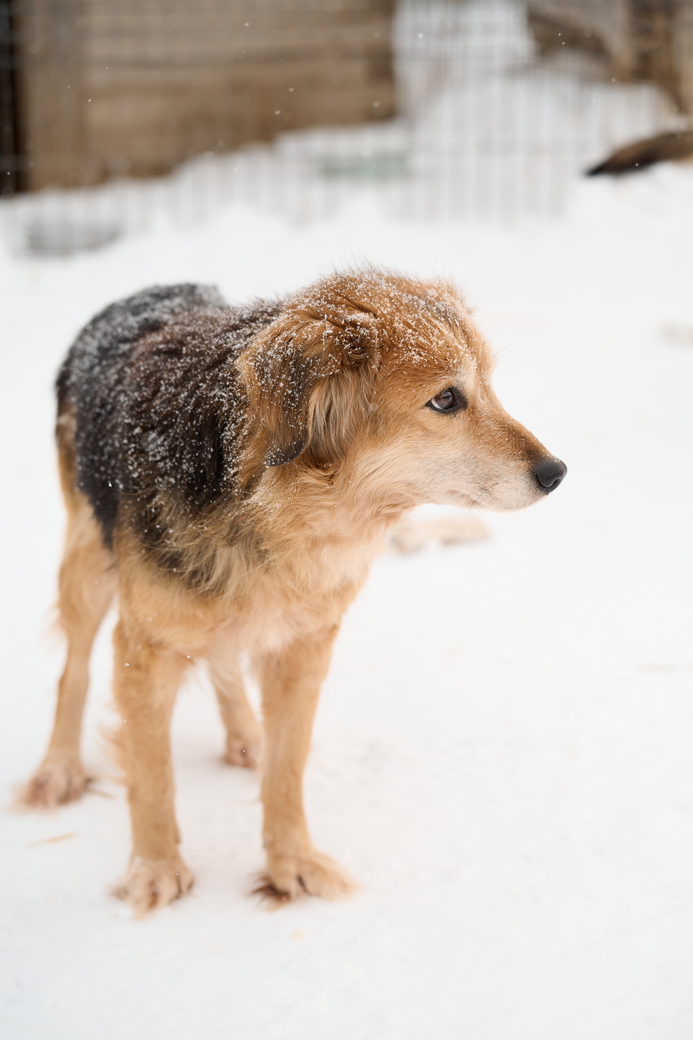 ph: Анна Молодожён
