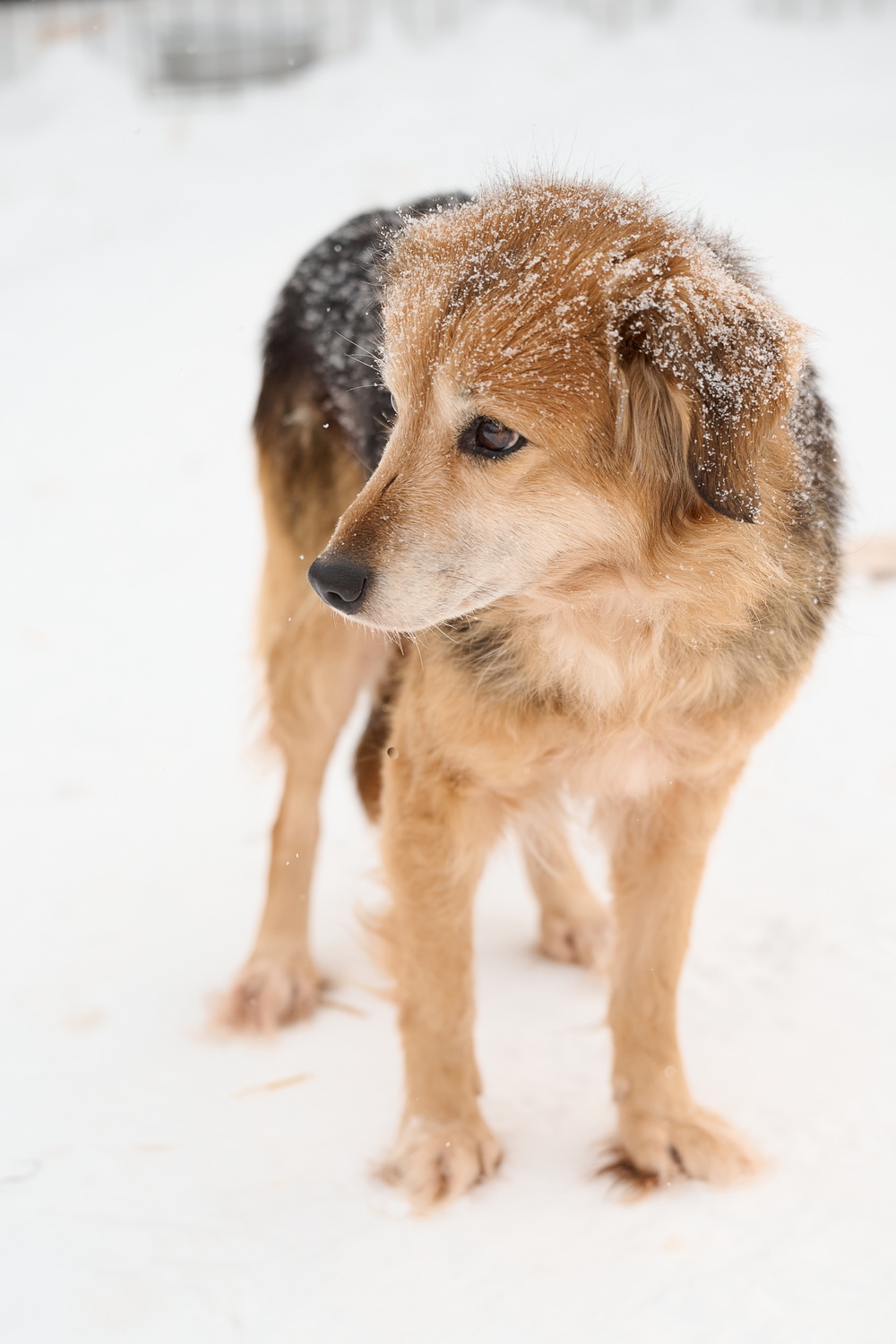 ph: Анна Молодожён