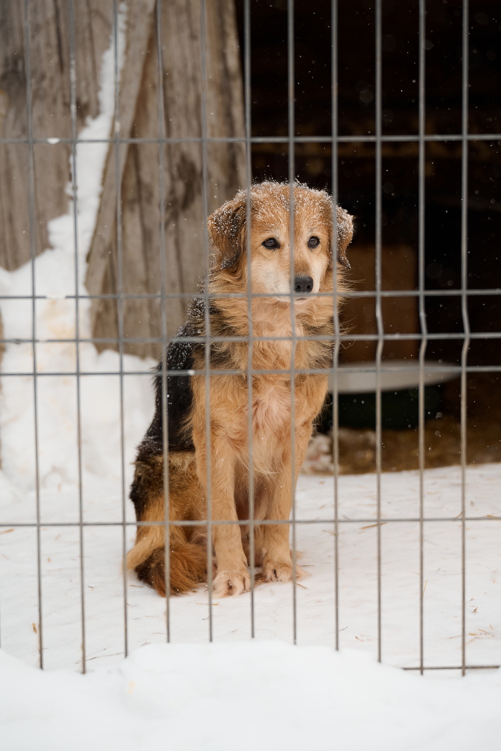 ph: Анна Молодожён