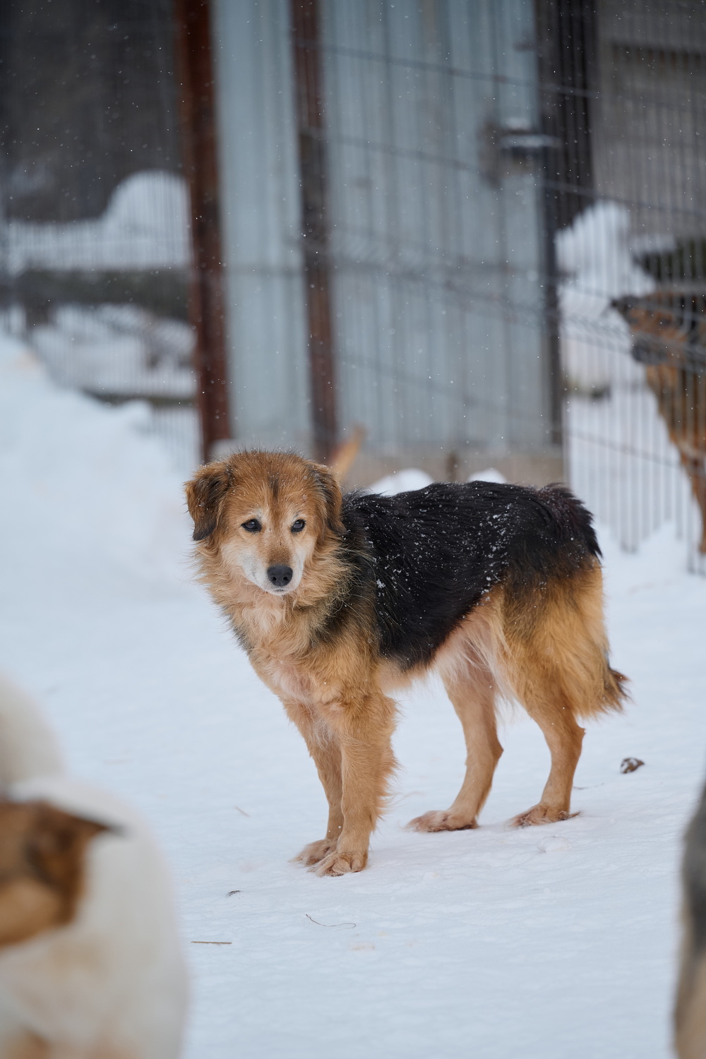 ph: Анна Молодожён
