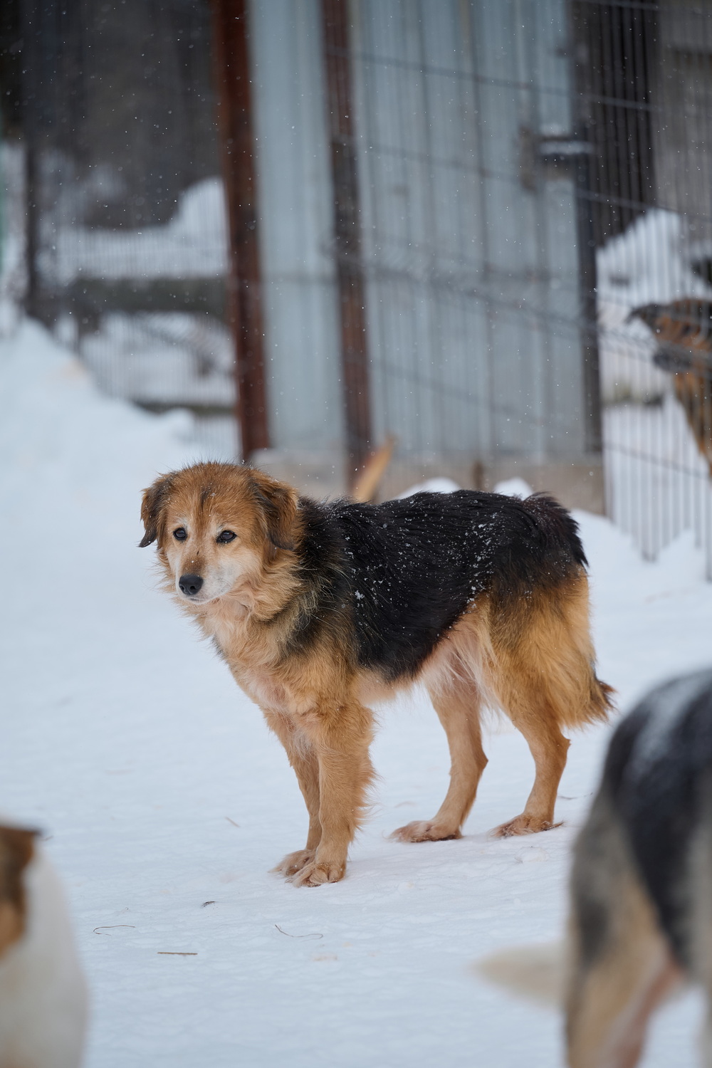 ph: Анна Молодожён