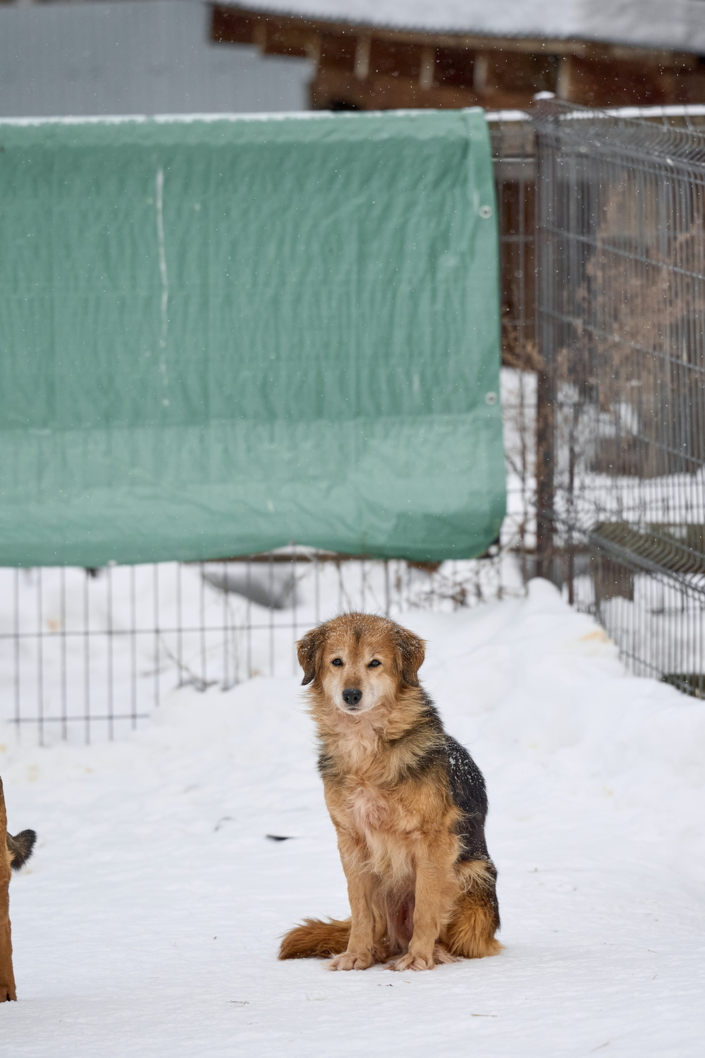 ph: Анна Молодожён