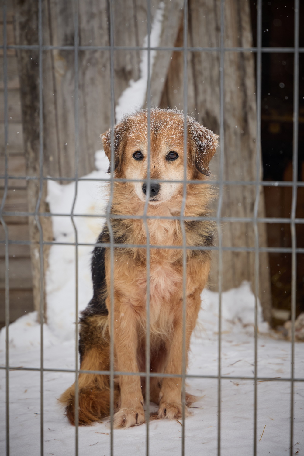 ph: Николай Коба