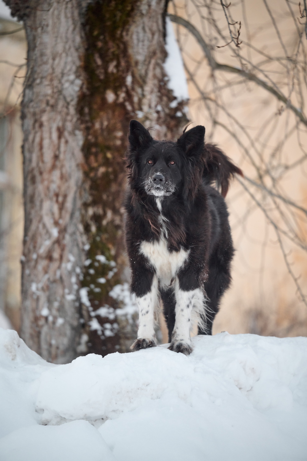 ph: Анна Молодожён