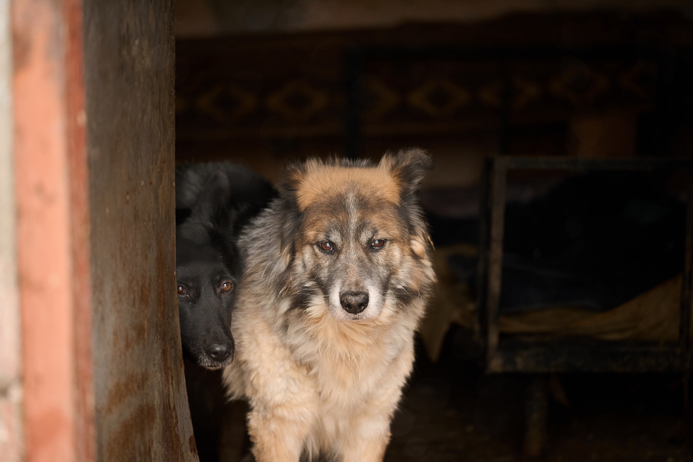 ph: Анна Молодожён