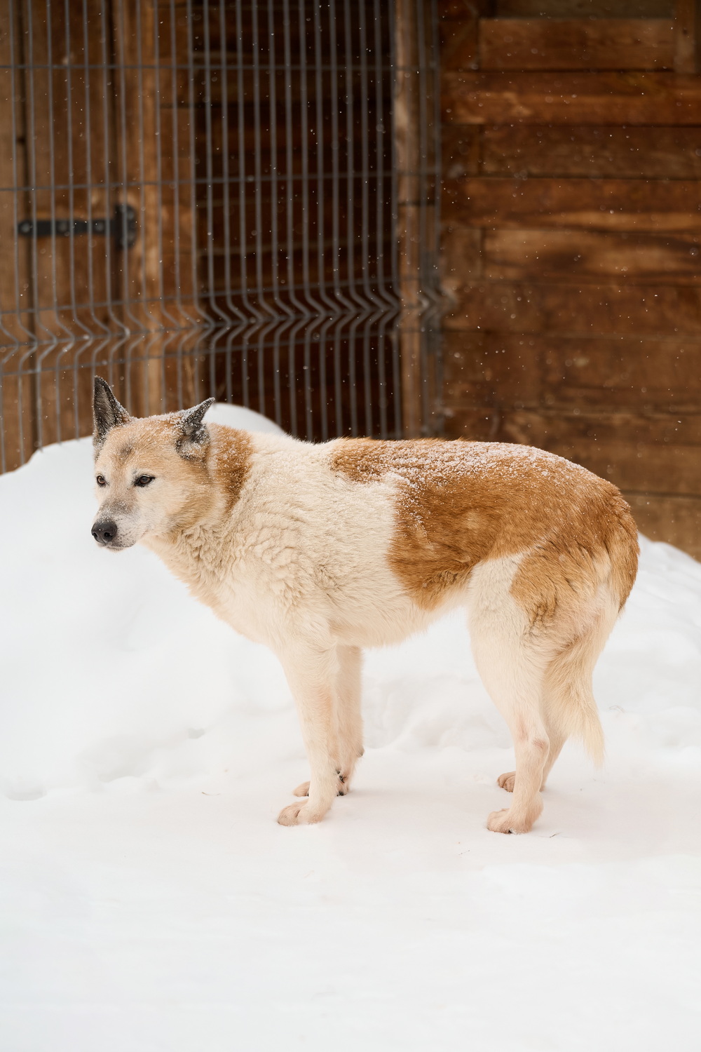 ph: Анна Молодожён