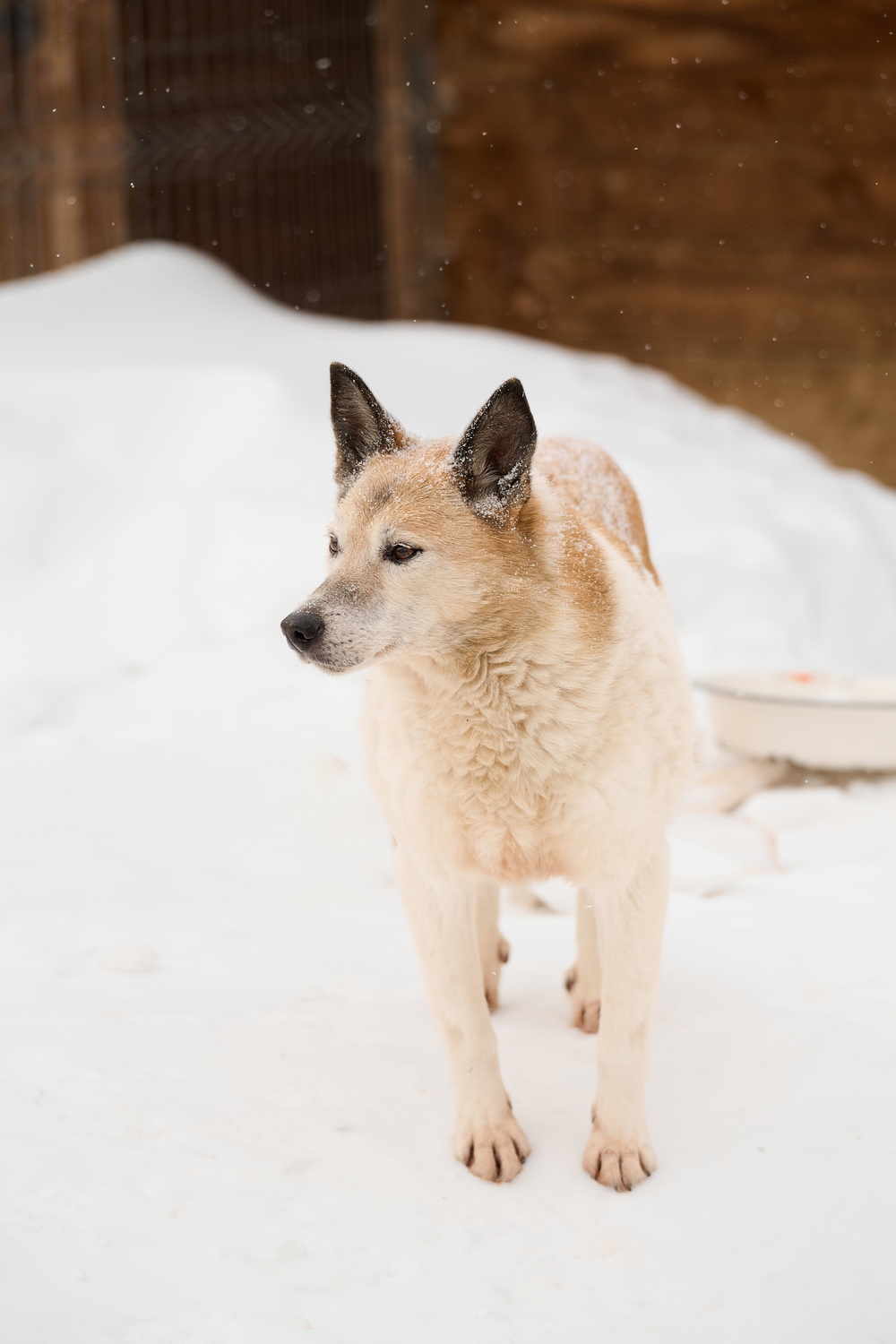 ph: Анна Молодожён