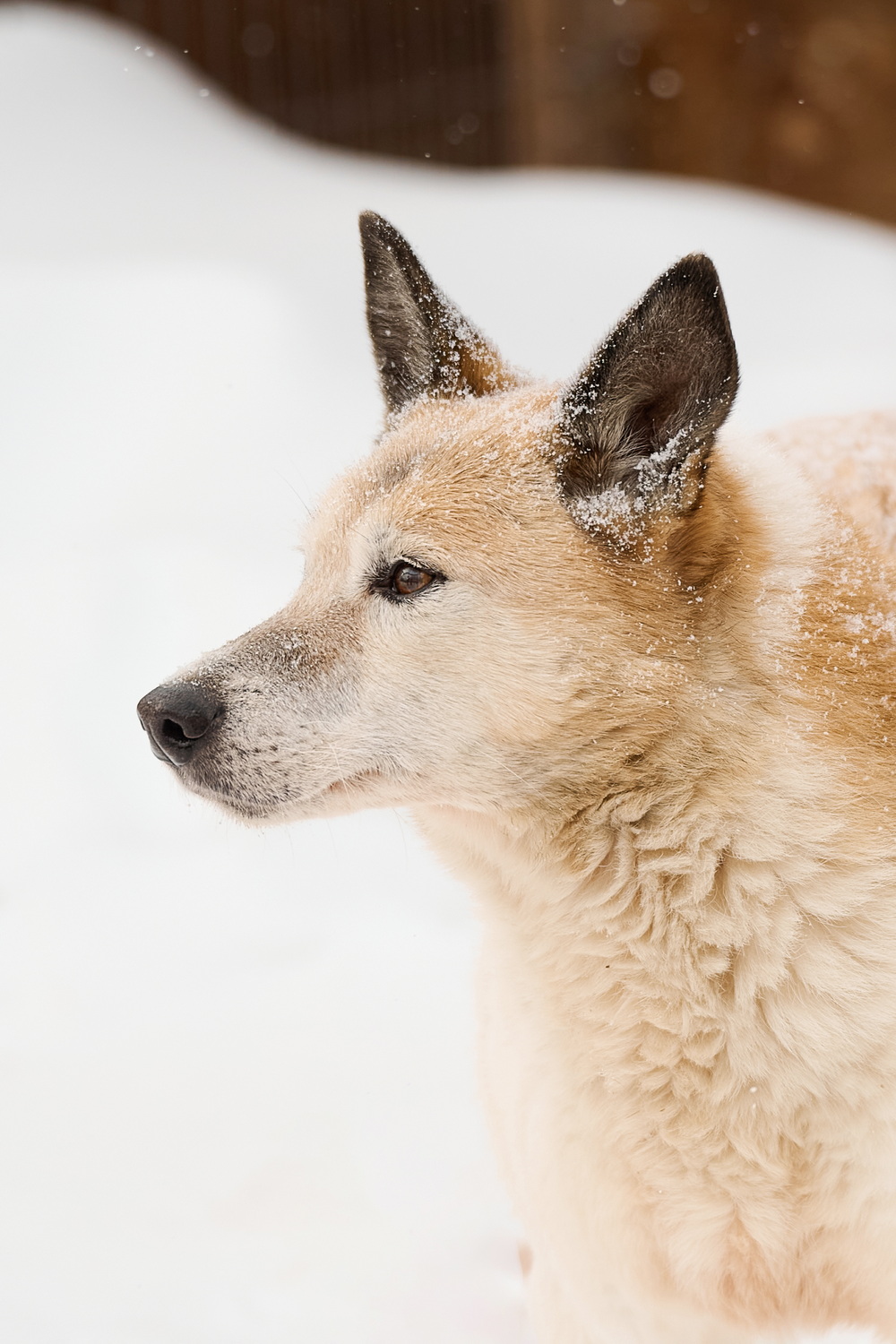 ph: Анна Молодожён