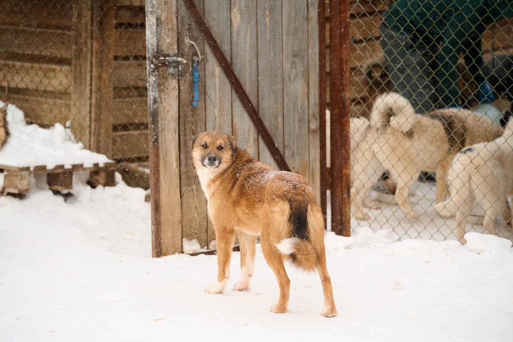 ph: Анна Молодожён