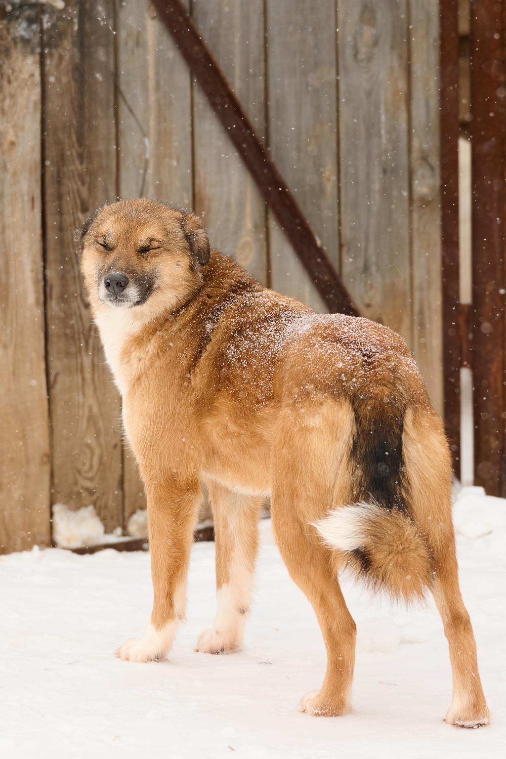 ph: Анна Молодожён