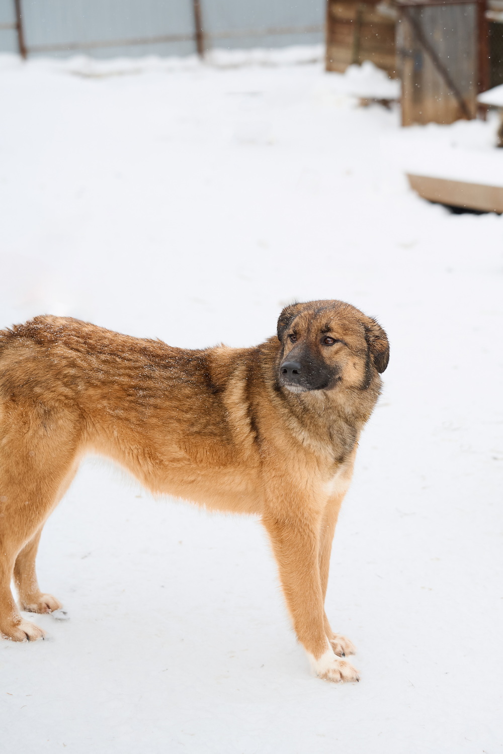 ph: Анна Молодожён
