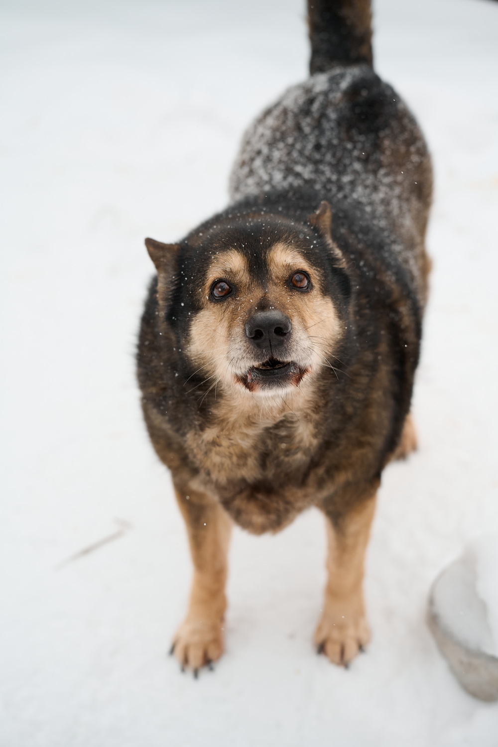 ph: Анна Молодожён