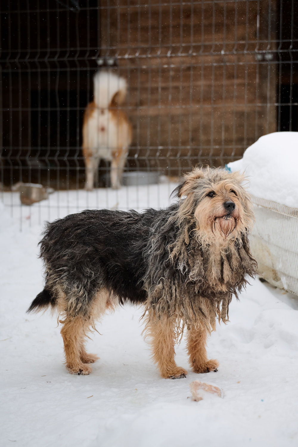 ph: Анна Молодожён