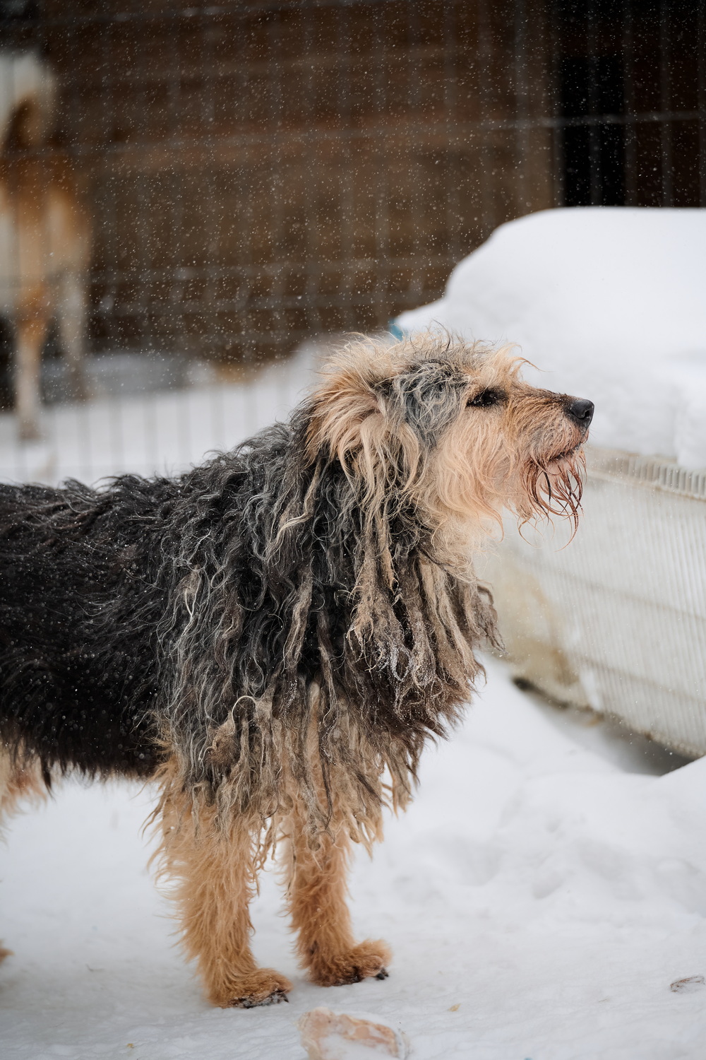 ph: Анна Молодожён