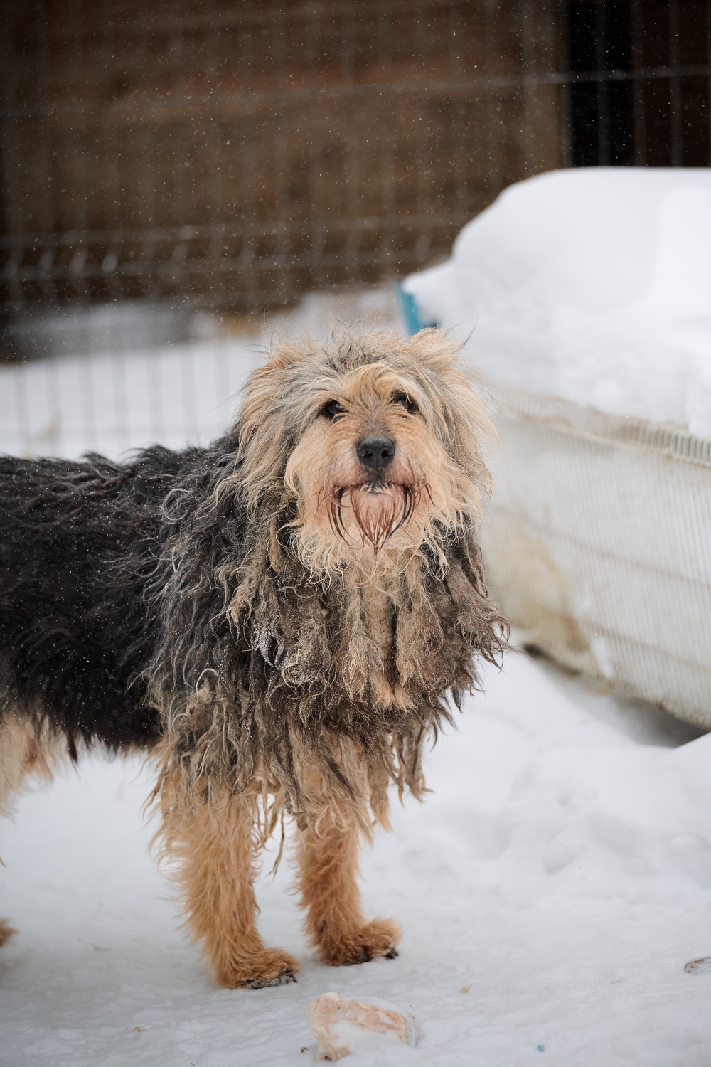 ph: Анна Молодожён