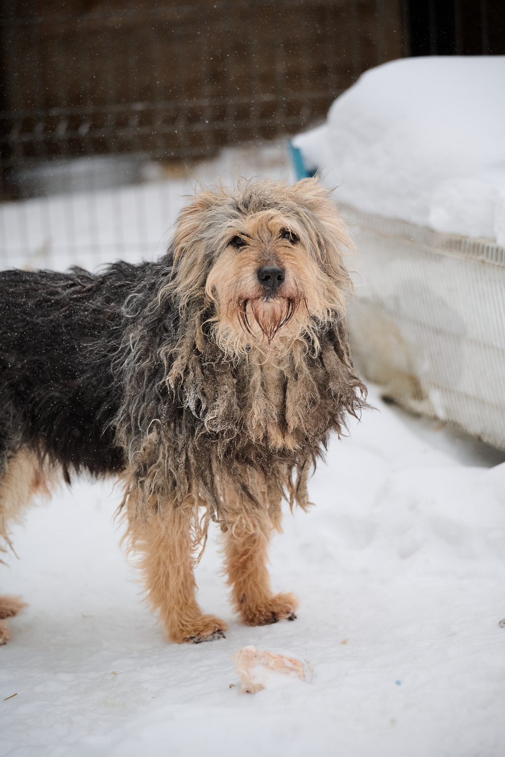 ph: Анна Молодожён