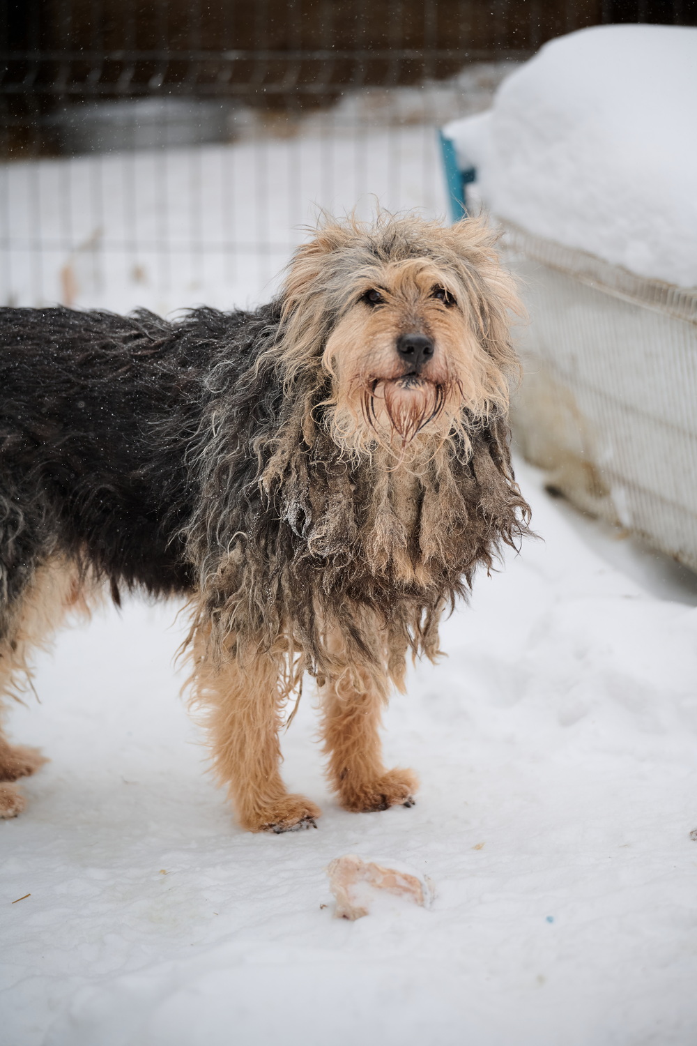 ph: Анна Молодожён