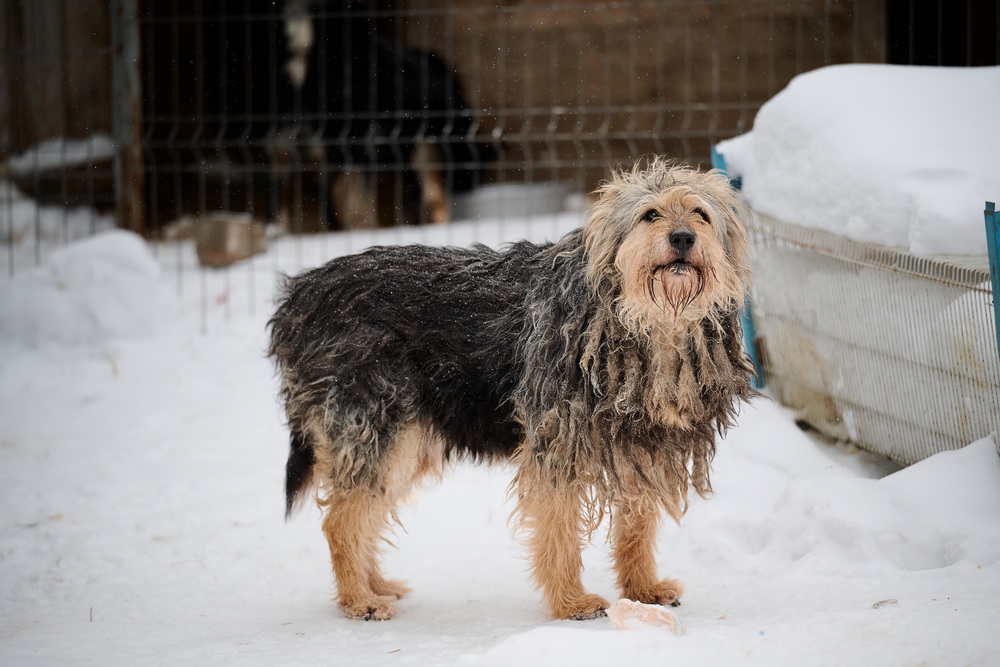 ph: Анна Молодожён