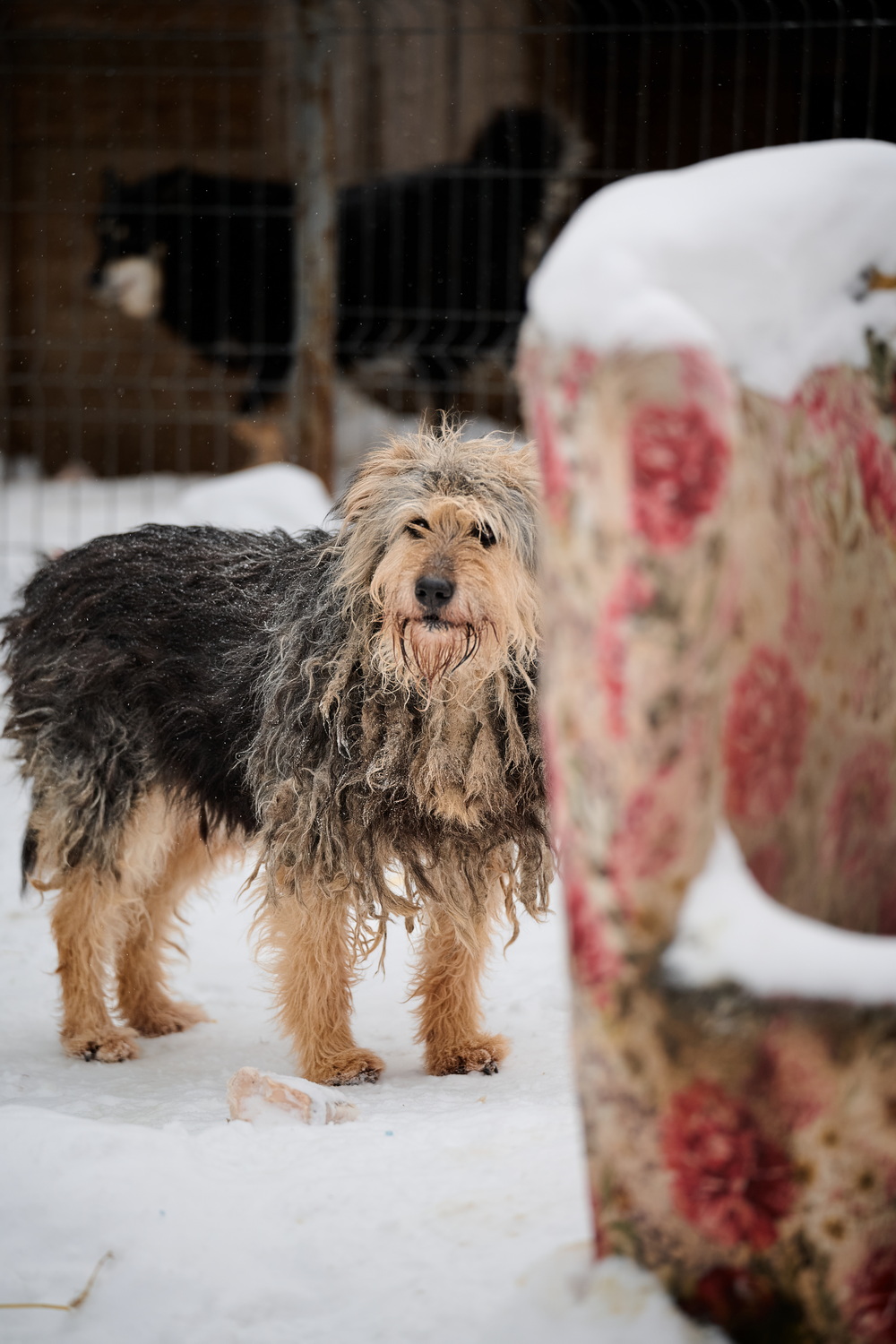 ph: Анна Молодожён