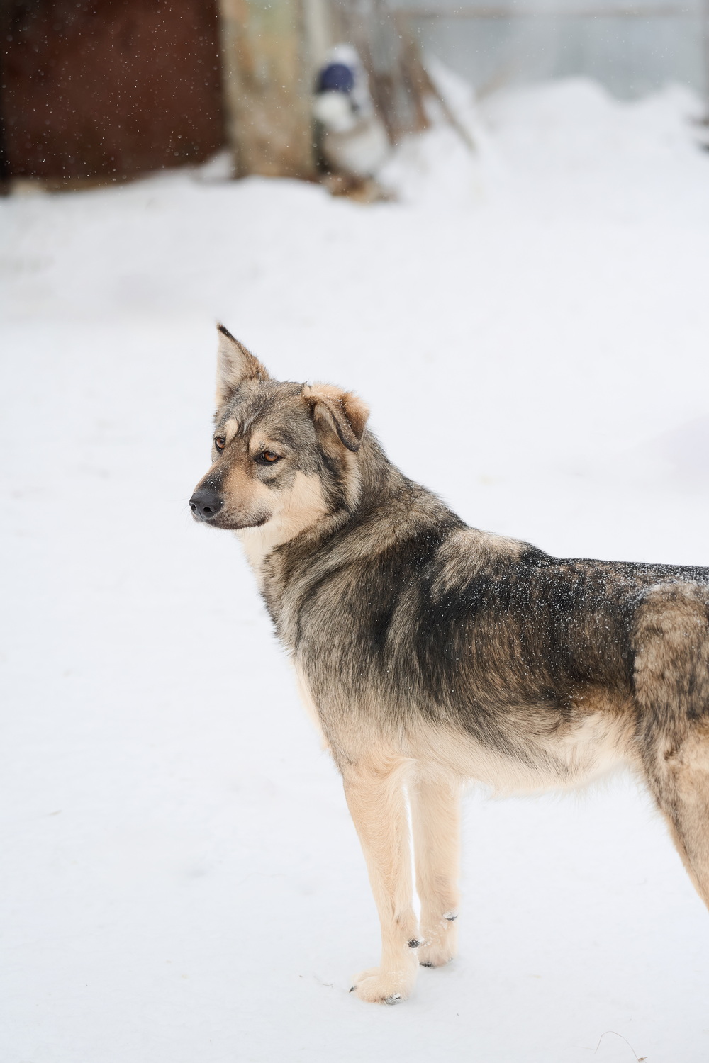 ph: Анна Молодожён