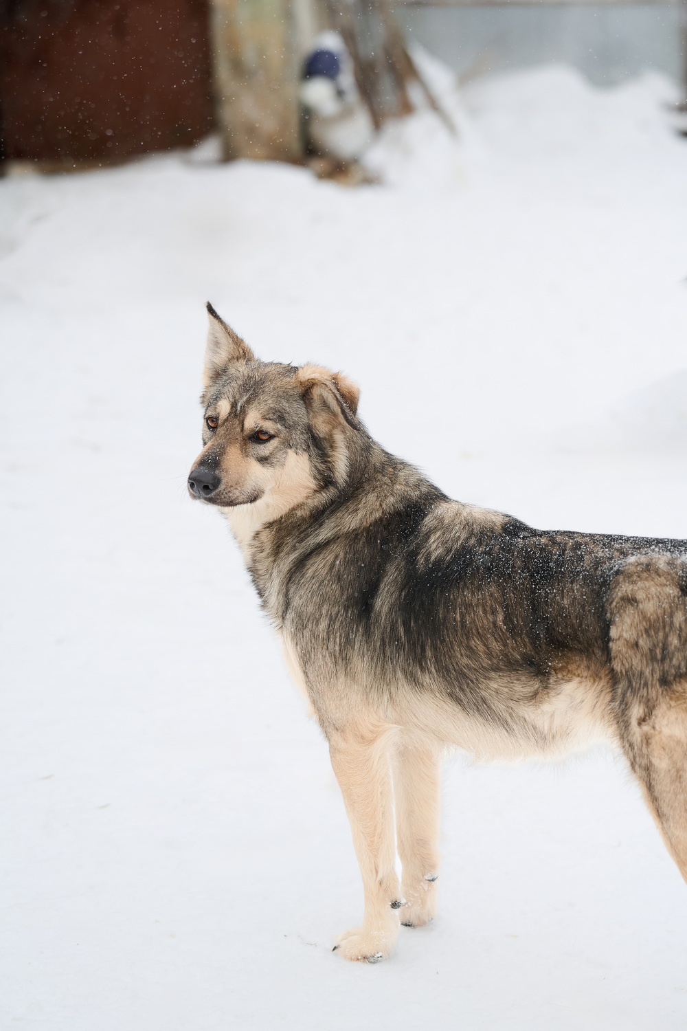 ph: Анна Молодожён