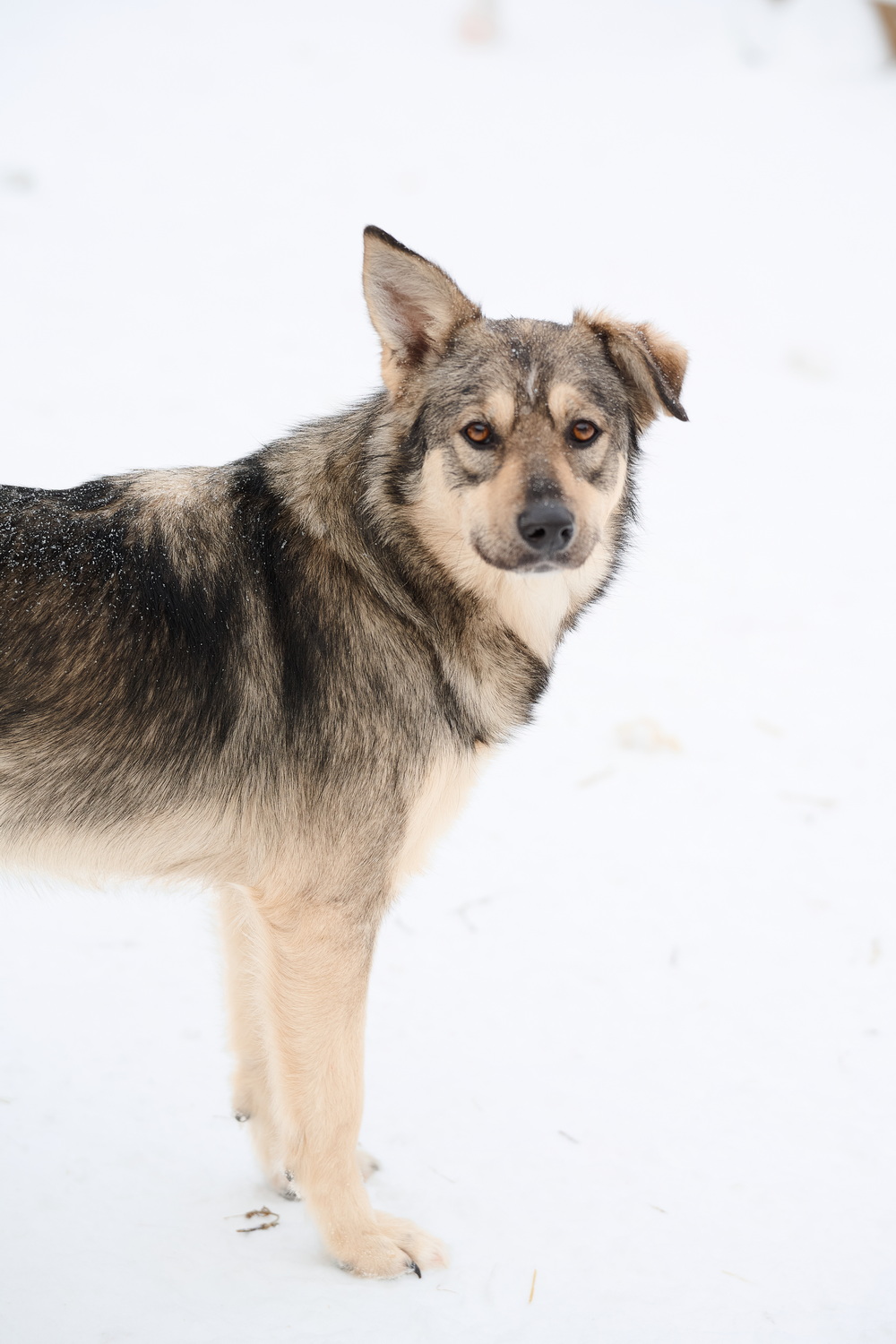 ph: Анна Молодожён