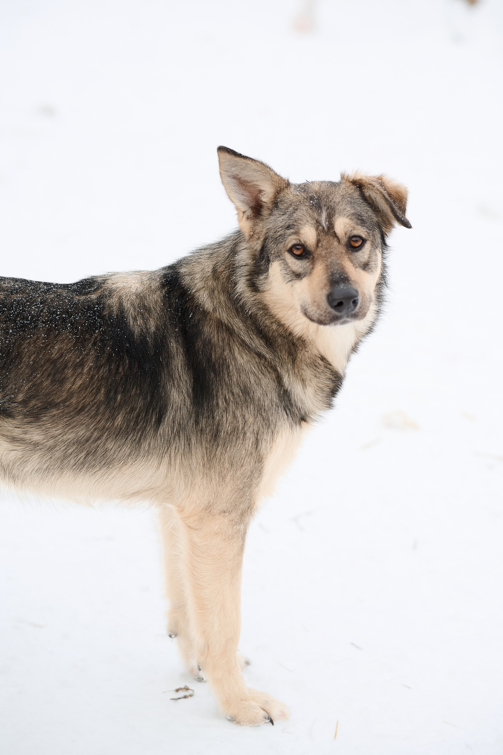 ph: Анна Молодожён