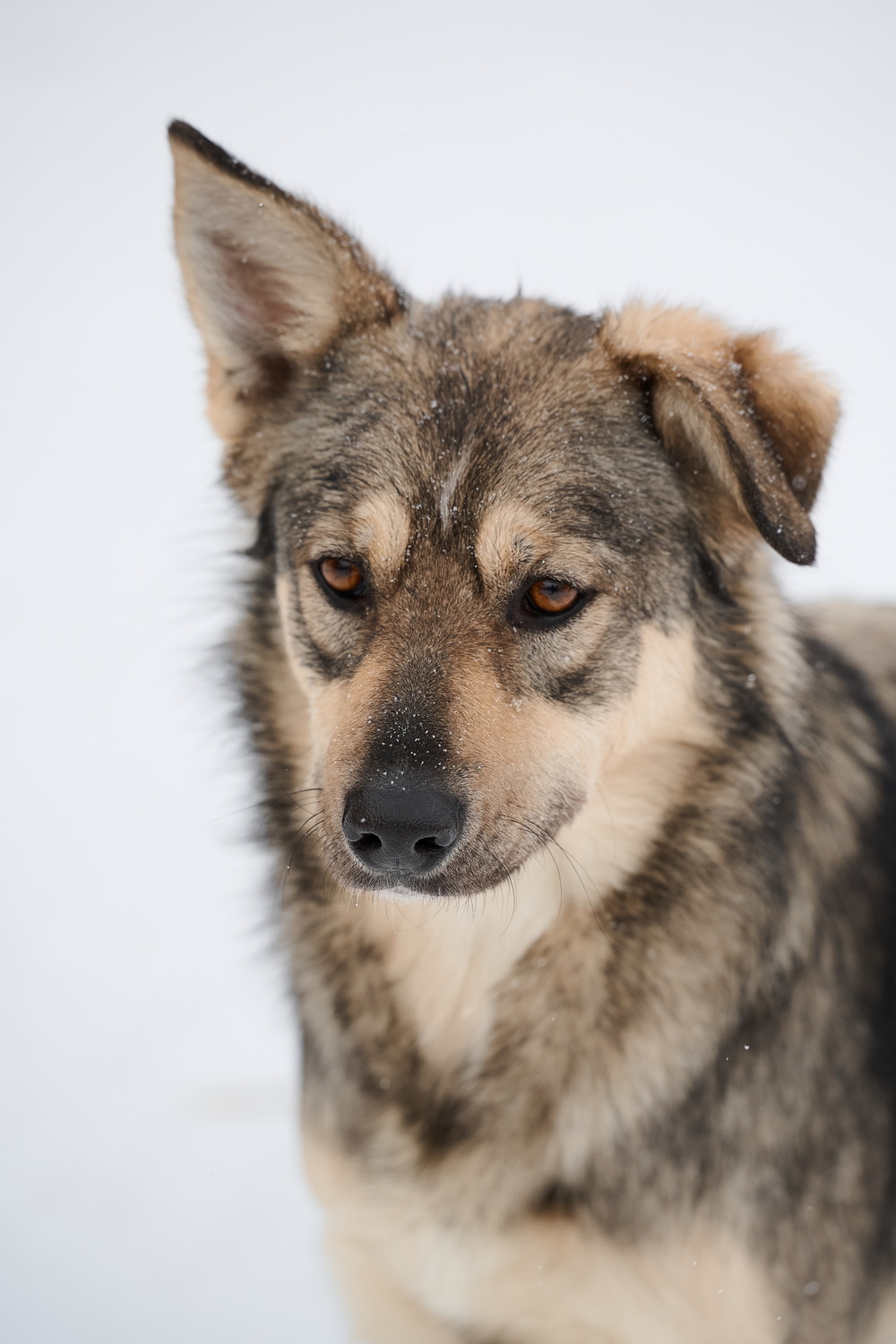 ph: Анна Молодожён