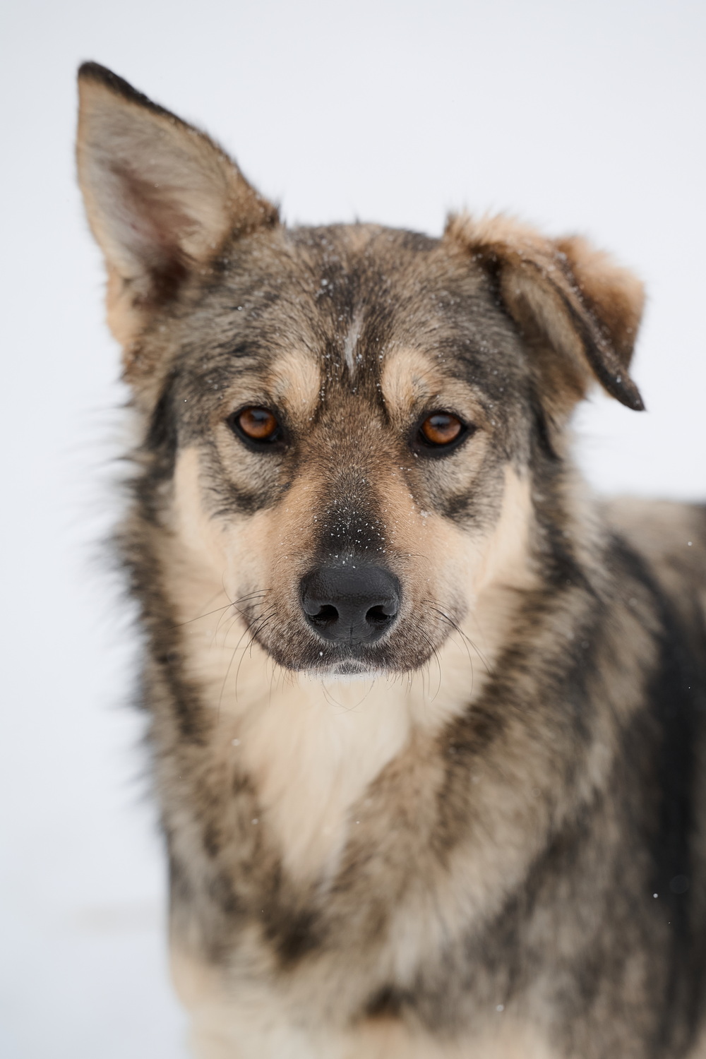 ph: Анна Молодожён