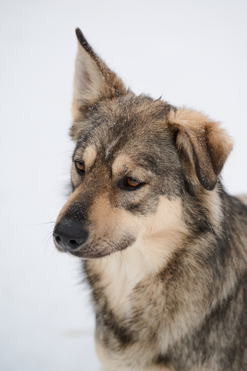 ph: Анна Молодожён