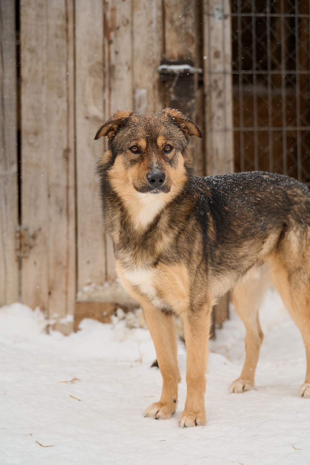 ph: Анна Молодожён